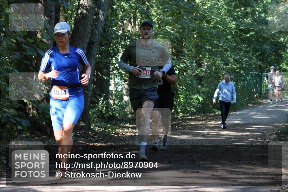 28.09.2025 - 33. Volkslauf durch das schöne Alstertal Strokosch-Dieckow http://msf.ph/oto/8970904 28.09.2025 12:02:39 Laufen 1034, 459, 0 meine-sportfotos.de