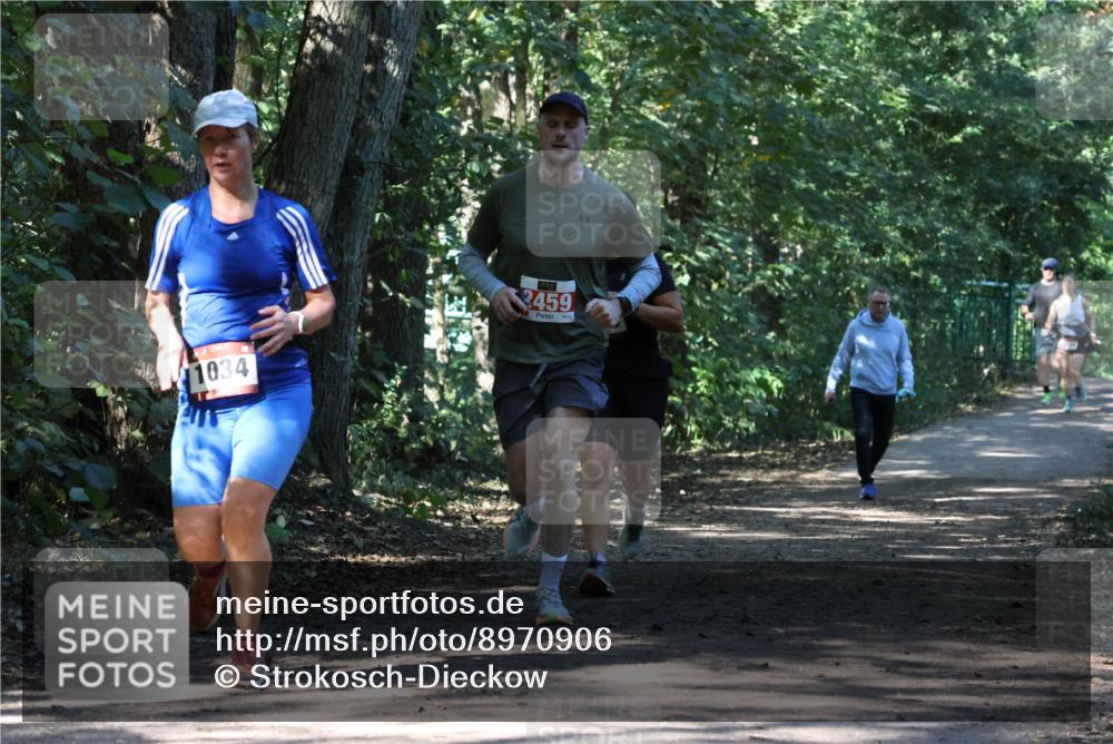 28.09.2025 - 33. Volkslauf durch das schöne Alstertal Strokosch-Dieckow http://msf.ph/oto/8970906 28.09.2025 12:02:39 Laufen 1034, 2459 meine-sportfotos.de
