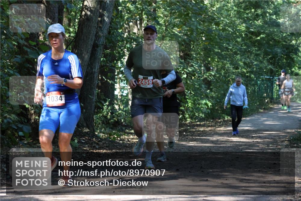 28.09.2025 - 33. Volkslauf durch das schöne Alstertal Strokosch-Dieckow http://msf.ph/oto/8970907 28.09.2025 12:02:39 Laufen 1034, 2459 meine-sportfotos.de