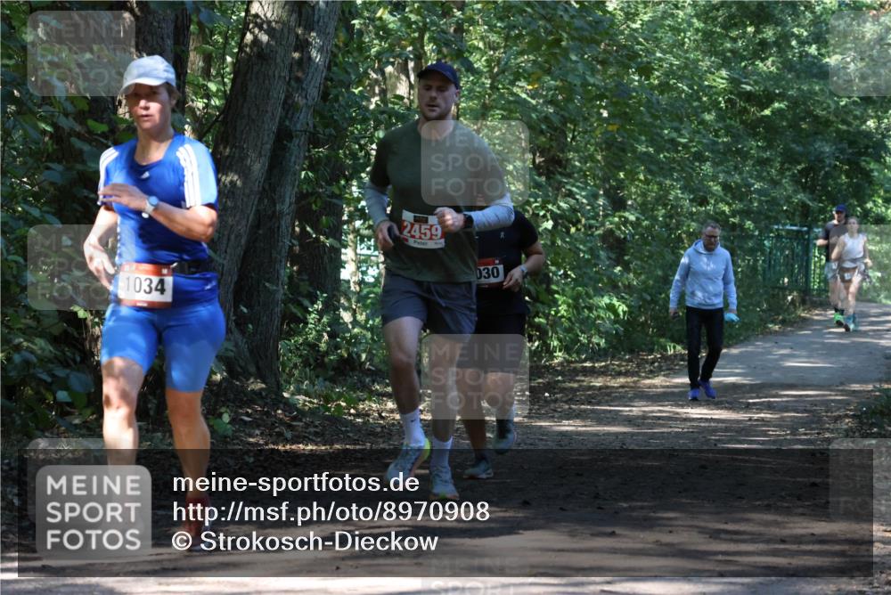 28.09.2025 - 33. Volkslauf durch das schöne Alstertal Strokosch-Dieckow http://msf.ph/oto/8970908 28.09.2025 12:02:40 Laufen 1034, 2459, 030 meine-sportfotos.de