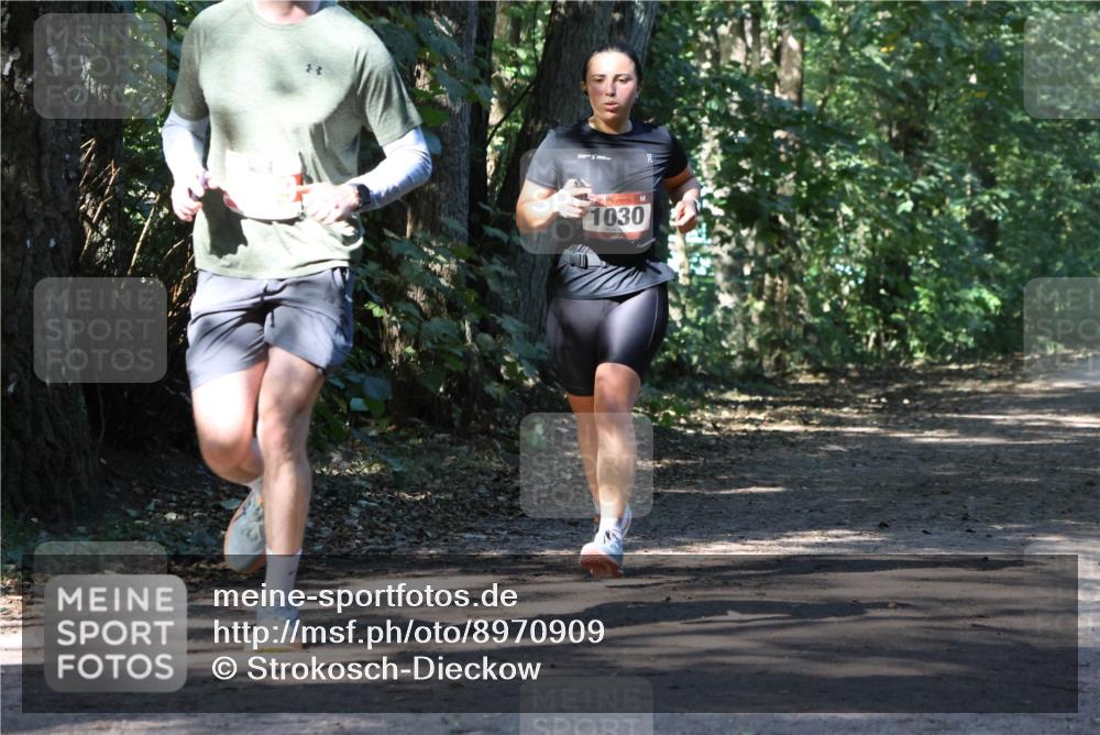 28.09.2025 - 33. Volkslauf durch das schöne Alstertal Strokosch-Dieckow http://msf.ph/oto/8970909 28.09.2025 12:02:42 Laufen 1030 meine-sportfotos.de