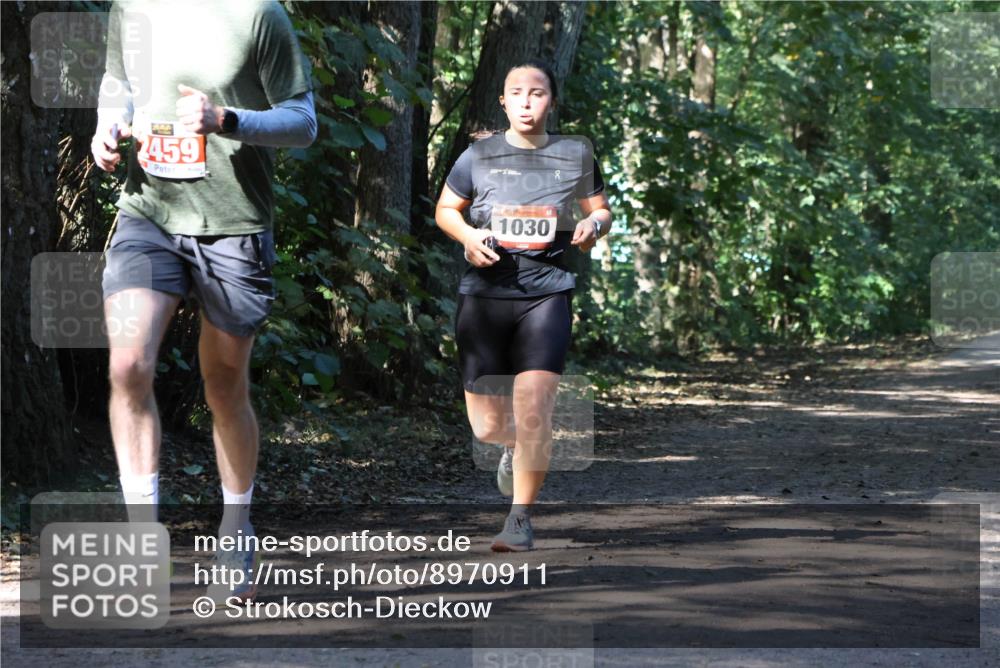 28.09.2025 - 33. Volkslauf durch das schöne Alstertal Strokosch-Dieckow http://msf.ph/oto/8970911 28.09.2025 12:02:42 Laufen 2459, 1030 meine-sportfotos.de