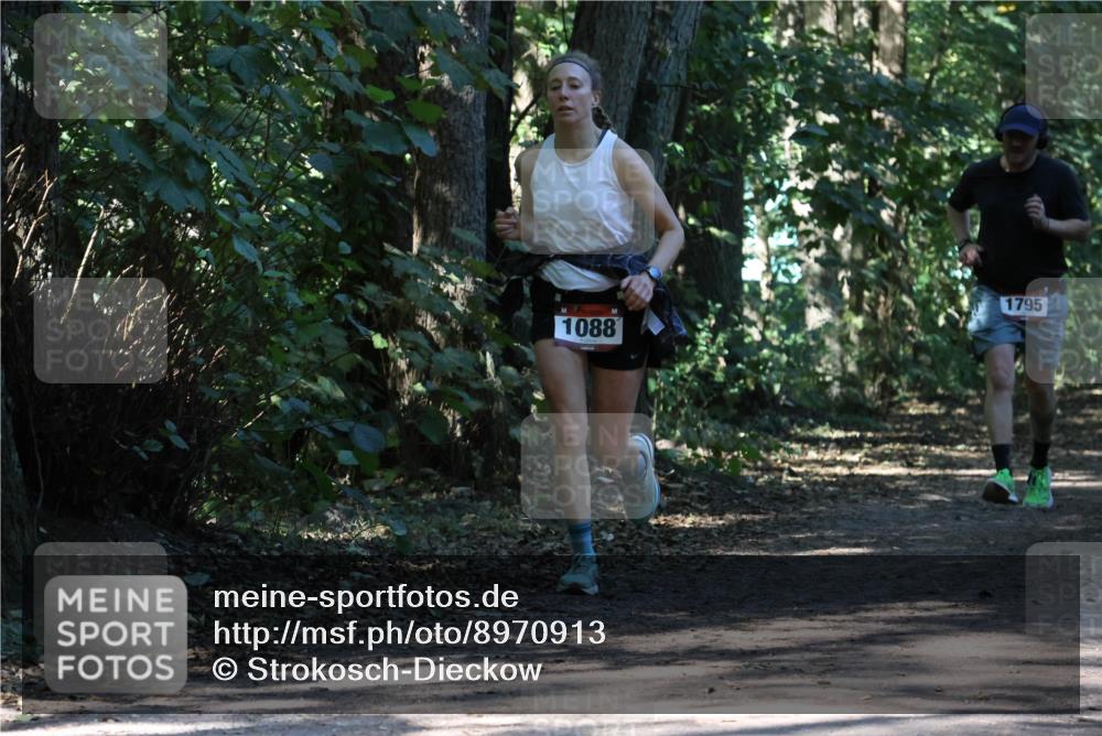 28.09.2025 - 33. Volkslauf durch das schöne Alstertal Strokosch-Dieckow http://msf.ph/oto/8970913 28.09.2025 12:02:53 Laufen 1088, 1795 meine-sportfotos.de