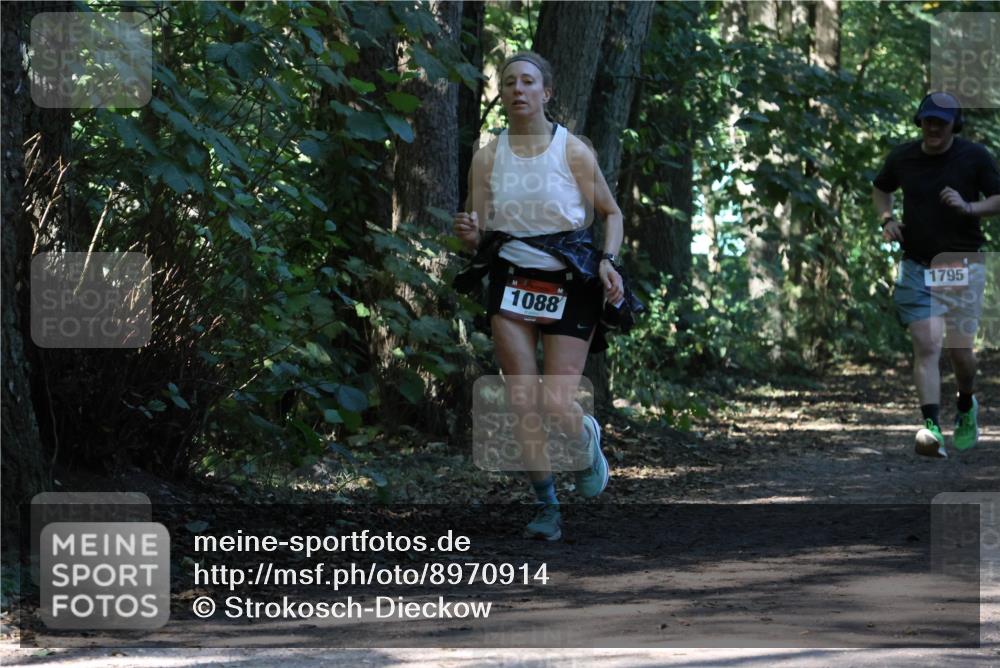 28.09.2025 - 33. Volkslauf durch das schöne Alstertal Strokosch-Dieckow http://msf.ph/oto/8970914 28.09.2025 12:02:53 Laufen 1088, 1795 meine-sportfotos.de