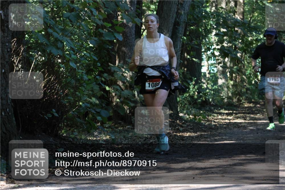28.09.2025 - 33. Volkslauf durch das schöne Alstertal Strokosch-Dieckow http://msf.ph/oto/8970915 28.09.2025 12:02:53 Laufen 1088, 1795 meine-sportfotos.de
