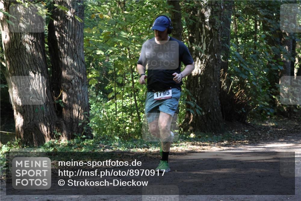 28.09.2025 - 33. Volkslauf durch das schöne Alstertal Strokosch-Dieckow http://msf.ph/oto/8970917 28.09.2025 12:03:00 Laufen 1795 meine-sportfotos.de