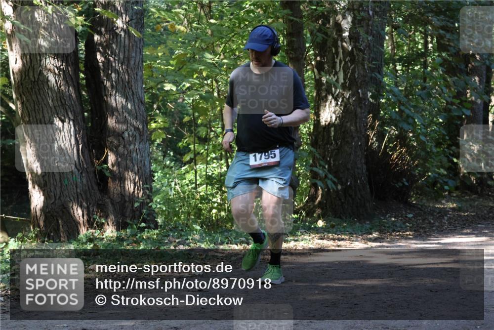 28.09.2025 - 33. Volkslauf durch das schöne Alstertal Strokosch-Dieckow http://msf.ph/oto/8970918 28.09.2025 12:03:00 Laufen 1795 meine-sportfotos.de