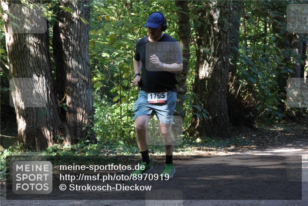 28.09.2025 - 33. Volkslauf durch das schöne Alstertal Strokosch-Dieckow http://msf.ph/oto/8970919 28.09.2025 12:03:00 Laufen 1795 meine-sportfotos.de