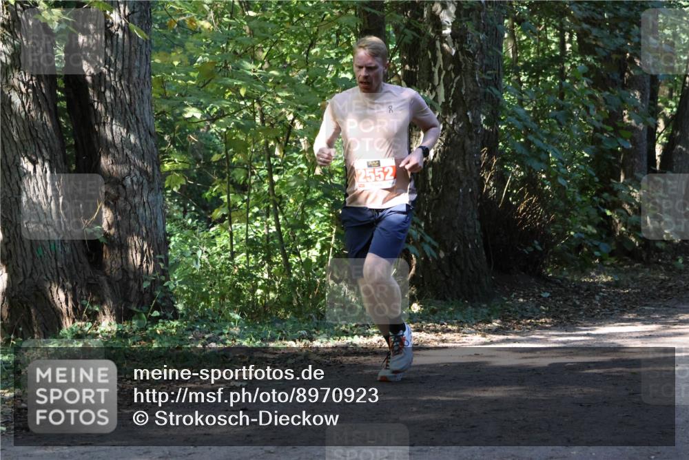 28.09.2025 - 33. Volkslauf durch das schöne Alstertal Strokosch-Dieckow http://msf.ph/oto/8970923 28.09.2025 12:03:03 Laufen 2552 meine-sportfotos.de