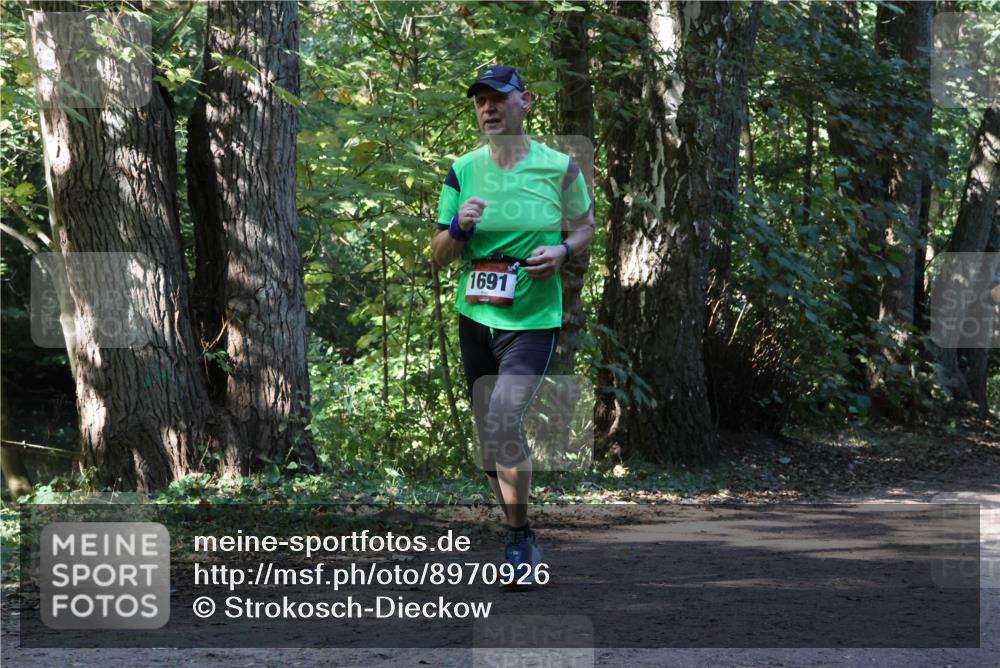 28.09.2025 - 33. Volkslauf durch das schöne Alstertal Strokosch-Dieckow http://msf.ph/oto/8970926 28.09.2025 12:03:22 Laufen 1691 meine-sportfotos.de