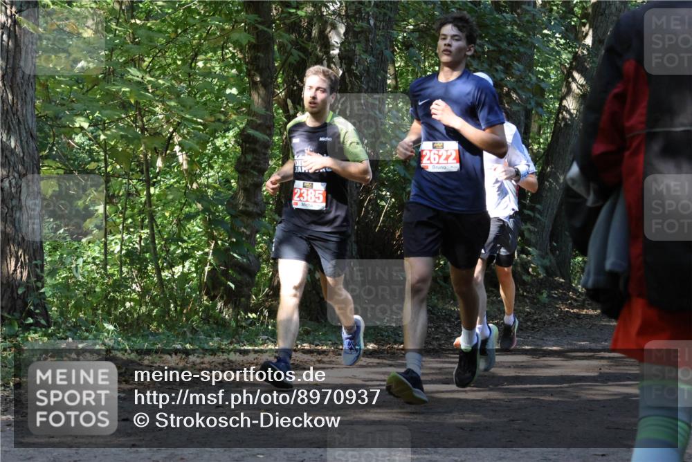 28.09.2025 - 33. Volkslauf durch das schöne Alstertal Strokosch-Dieckow http://msf.ph/oto/8970937 28.09.2025 12:03:40 Laufen 2622, 2385 meine-sportfotos.de