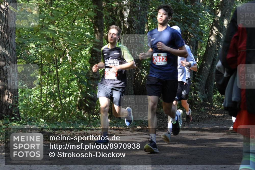 28.09.2025 - 33. Volkslauf durch das schöne Alstertal Strokosch-Dieckow http://msf.ph/oto/8970938 28.09.2025 12:03:40 Laufen 2622 meine-sportfotos.de