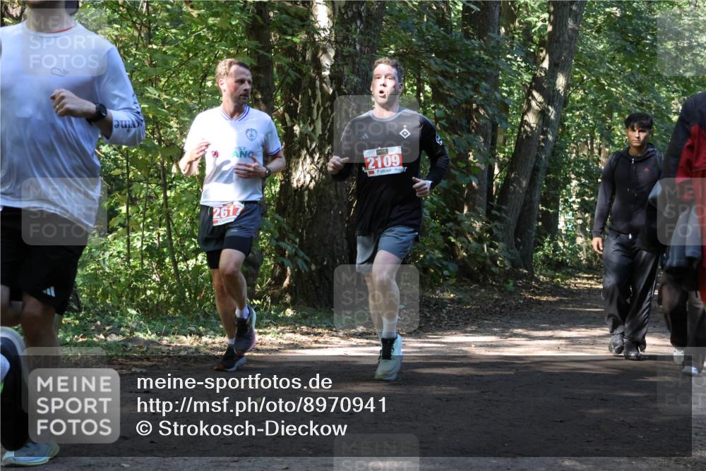 28.09.2025 - 33. Volkslauf durch das schöne Alstertal Strokosch-Dieckow http://msf.ph/oto/8970941 28.09.2025 12:03:41 Laufen 2617, 2109 meine-sportfotos.de