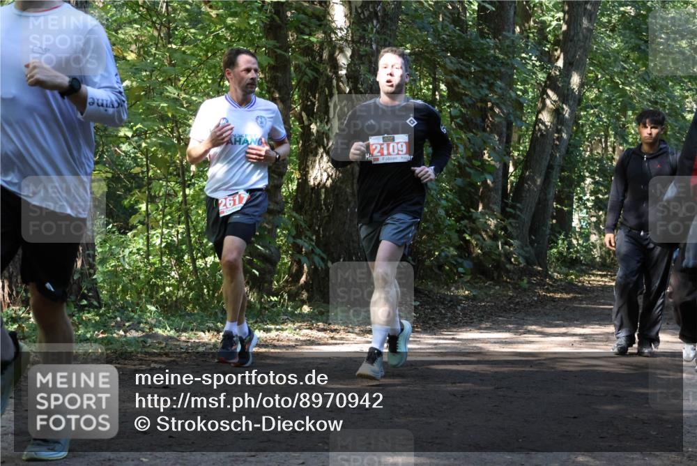 28.09.2025 - 33. Volkslauf durch das schöne Alstertal Strokosch-Dieckow http://msf.ph/oto/8970942 28.09.2025 12:03:41 Laufen 2617, 2109 meine-sportfotos.de