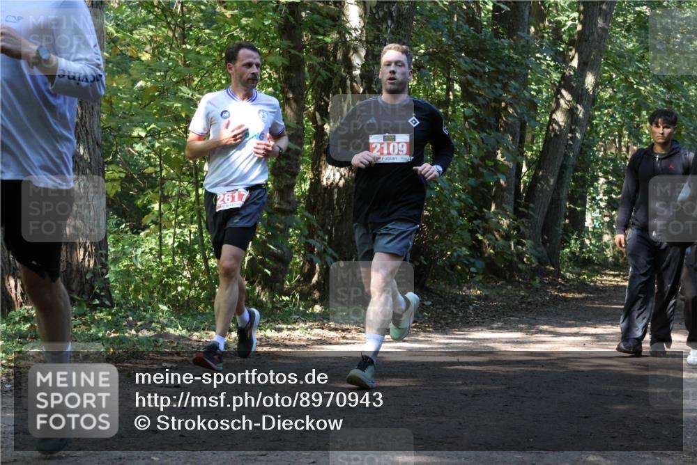 28.09.2025 - 33. Volkslauf durch das schöne Alstertal Strokosch-Dieckow http://msf.ph/oto/8970943 28.09.2025 12:03:41 Laufen 2617, 2109 meine-sportfotos.de