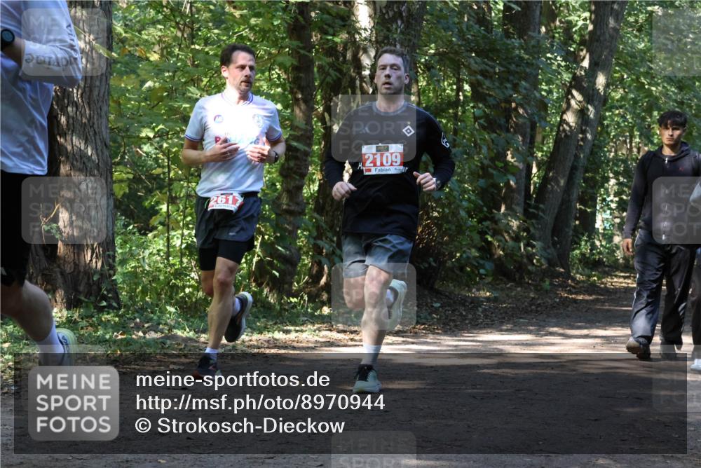 28.09.2025 - 33. Volkslauf durch das schöne Alstertal Strokosch-Dieckow http://msf.ph/oto/8970944 28.09.2025 12:03:42 Laufen 261, 2109 meine-sportfotos.de