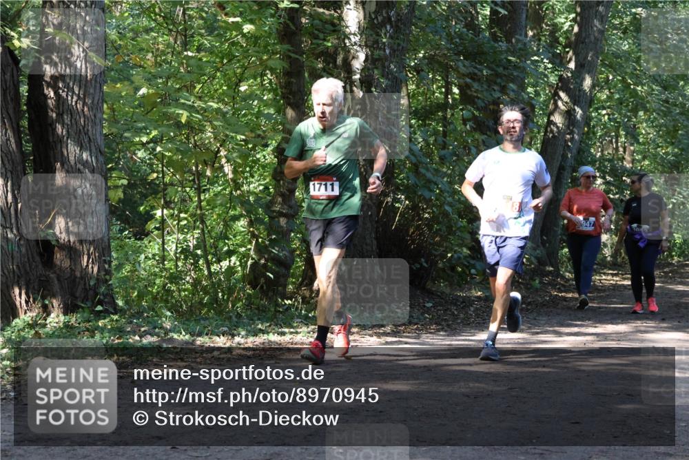 28.09.2025 - 33. Volkslauf durch das schöne Alstertal Strokosch-Dieckow http://msf.ph/oto/8970945 28.09.2025 12:03:53 Laufen 2025, 1711, 8, 947 meine-sportfotos.de
