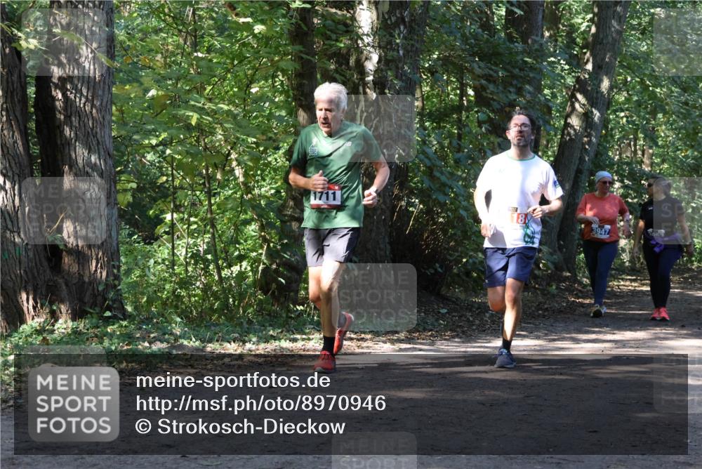 28.09.2025 - 33. Volkslauf durch das schöne Alstertal Strokosch-Dieckow http://msf.ph/oto/8970946 28.09.2025 12:03:53 Laufen 1711, 3947 meine-sportfotos.de