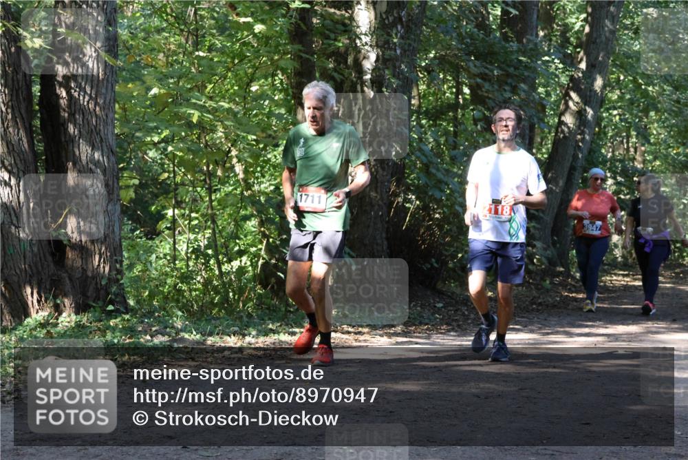 28.09.2025 - 33. Volkslauf durch das schöne Alstertal Strokosch-Dieckow http://msf.ph/oto/8970947 28.09.2025 12:03:53 Laufen  meine-sportfotos.de