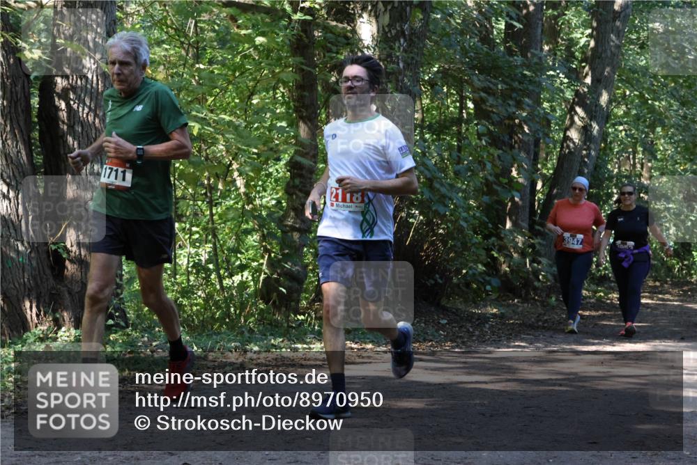 28.09.2025 - 33. Volkslauf durch das schöne Alstertal Strokosch-Dieckow http://msf.ph/oto/8970950 28.09.2025 12:03:54 Laufen 1711 meine-sportfotos.de