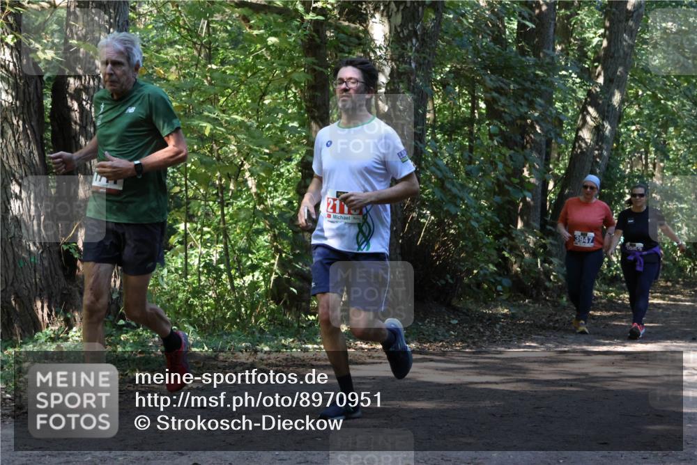 28.09.2025 - 33. Volkslauf durch das schöne Alstertal Strokosch-Dieckow http://msf.ph/oto/8970951 28.09.2025 12:03:54 Laufen 2, 21, 3947 meine-sportfotos.de