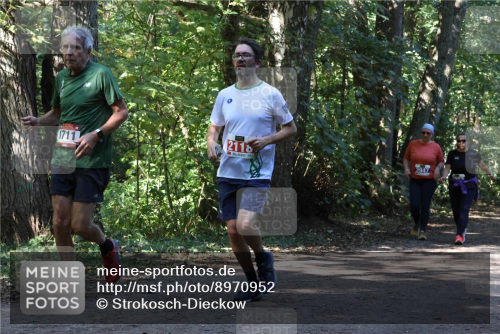 28.09.2025 - 33. Volkslauf durch das schöne Alstertal Strokosch-Dieckow http://msf.ph/oto/8970952 28.09.2025 12:03:54 Laufen 1711, 2118, 3947 meine-sportfotos.de