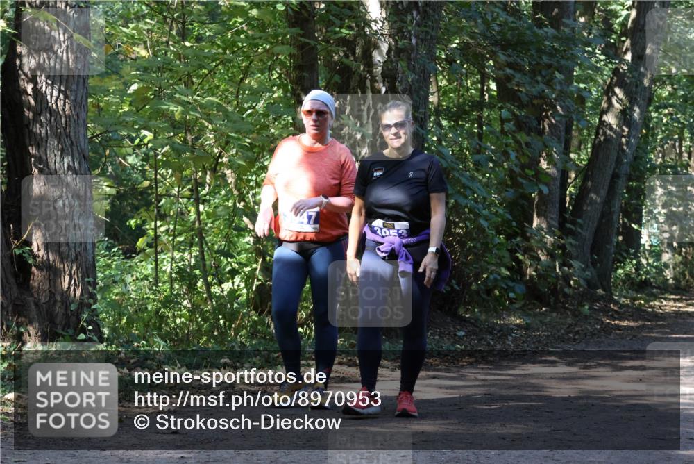 28.09.2025 - 33. Volkslauf durch das schöne Alstertal Strokosch-Dieckow http://msf.ph/oto/8970953 28.09.2025 12:03:59 Laufen 80 meine-sportfotos.de
