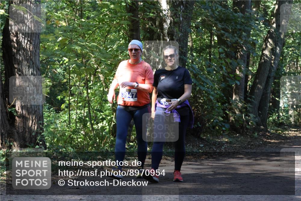28.09.2025 - 33. Volkslauf durch das schöne Alstertal Strokosch-Dieckow http://msf.ph/oto/8970954 28.09.2025 12:03:59 Laufen 3947 meine-sportfotos.de