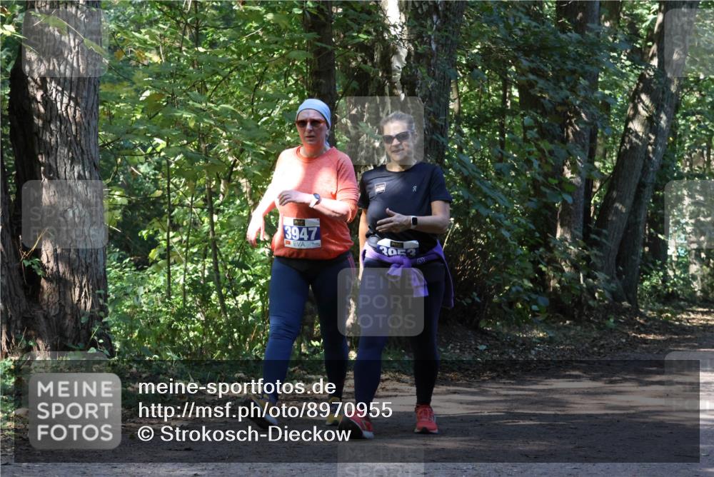 28.09.2025 - 33. Volkslauf durch das schöne Alstertal Strokosch-Dieckow http://msf.ph/oto/8970955 28.09.2025 12:03:59 Laufen  meine-sportfotos.de