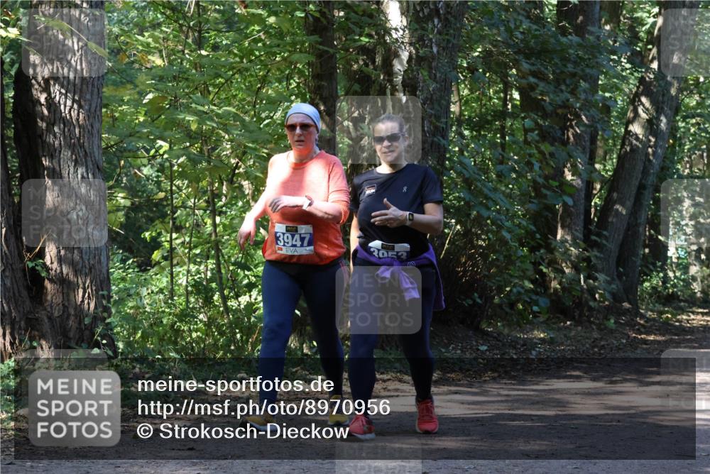 28.09.2025 - 33. Volkslauf durch das schöne Alstertal Strokosch-Dieckow http://msf.ph/oto/8970956 28.09.2025 12:03:59 Laufen 3947 meine-sportfotos.de