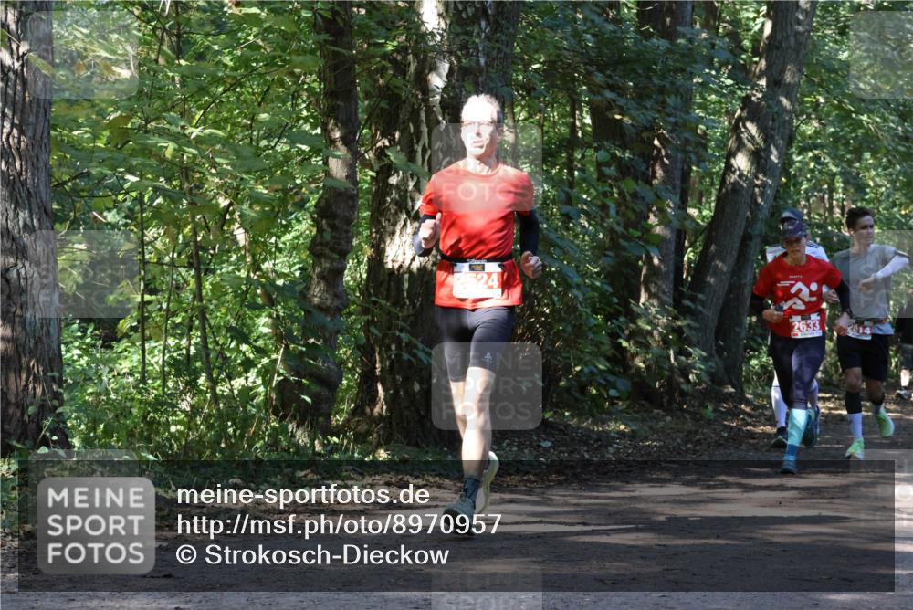 28.09.2025 - 33. Volkslauf durch das schöne Alstertal Strokosch-Dieckow http://msf.ph/oto/8970957 28.09.2025 12:04:04 Laufen 24, 2633, 2014 meine-sportfotos.de