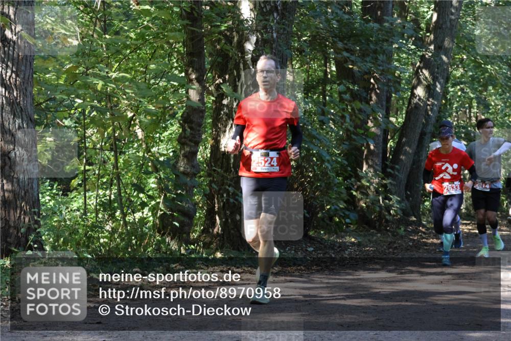 28.09.2025 - 33. Volkslauf durch das schöne Alstertal Strokosch-Dieckow http://msf.ph/oto/8970958 28.09.2025 12:04:04 Laufen 2524, 2633 meine-sportfotos.de