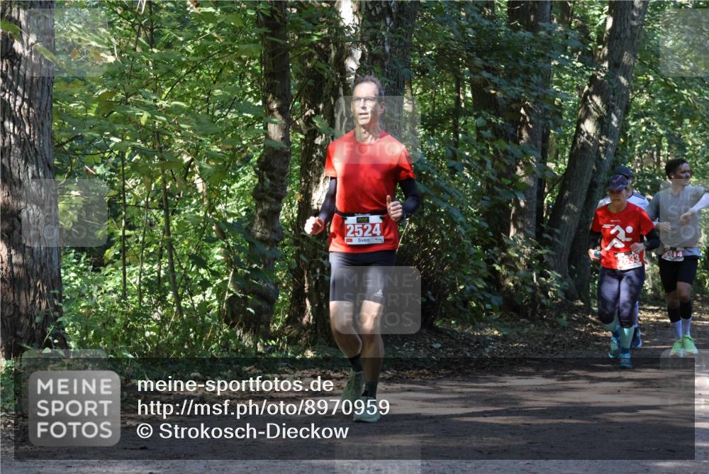 28.09.2025 - 33. Volkslauf durch das schöne Alstertal Strokosch-Dieckow http://msf.ph/oto/8970959 28.09.2025 12:04:04 Laufen 2524, 14 meine-sportfotos.de