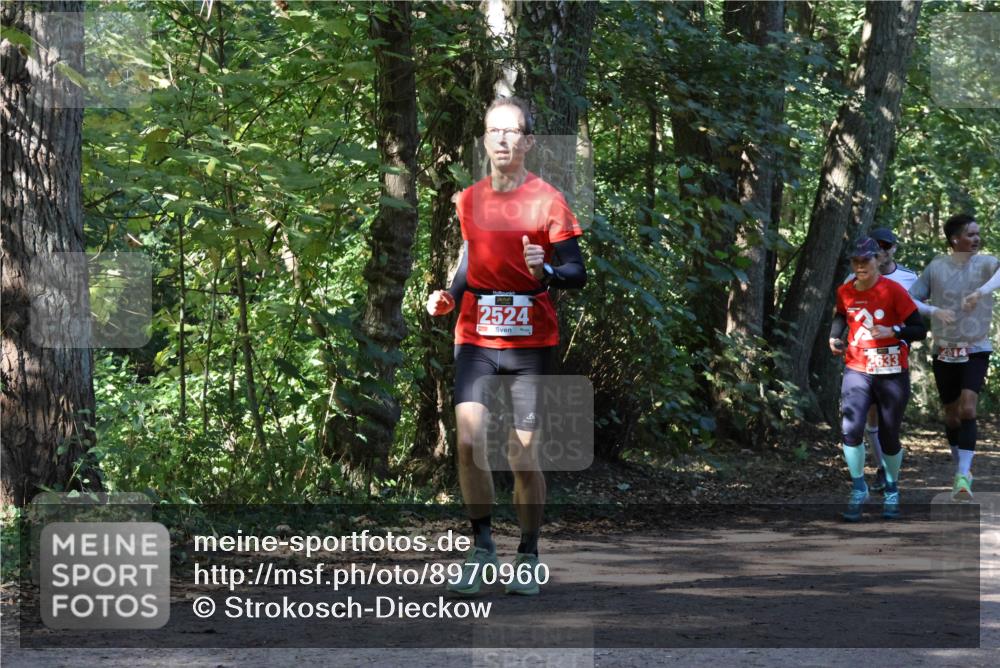 28.09.2025 - 33. Volkslauf durch das schöne Alstertal Strokosch-Dieckow http://msf.ph/oto/8970960 28.09.2025 12:04:04 Laufen 2524 meine-sportfotos.de
