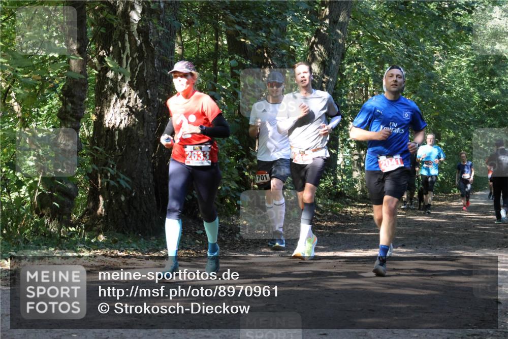 28.09.2025 - 33. Volkslauf durch das schöne Alstertal Strokosch-Dieckow http://msf.ph/oto/8970961 28.09.2025 12:04:05 Laufen 2633, 1701, 2041, 1031 meine-sportfotos.de