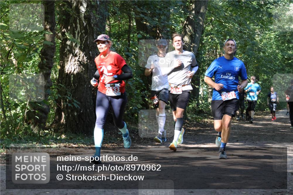 28.09.2025 - 33. Volkslauf durch das schöne Alstertal Strokosch-Dieckow http://msf.ph/oto/8970962 28.09.2025 12:04:05 Laufen 2633, 701, 2041 meine-sportfotos.de