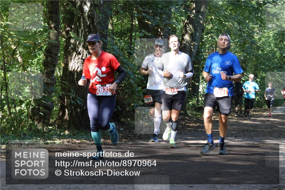 28.09.2025 - 33. Volkslauf durch das schöne Alstertal Strokosch-Dieckow http://msf.ph/oto/8970964 28.09.2025 12:04:05 Laufen 2633, 2014, 2041, 854, 701 meine-sportfotos.de