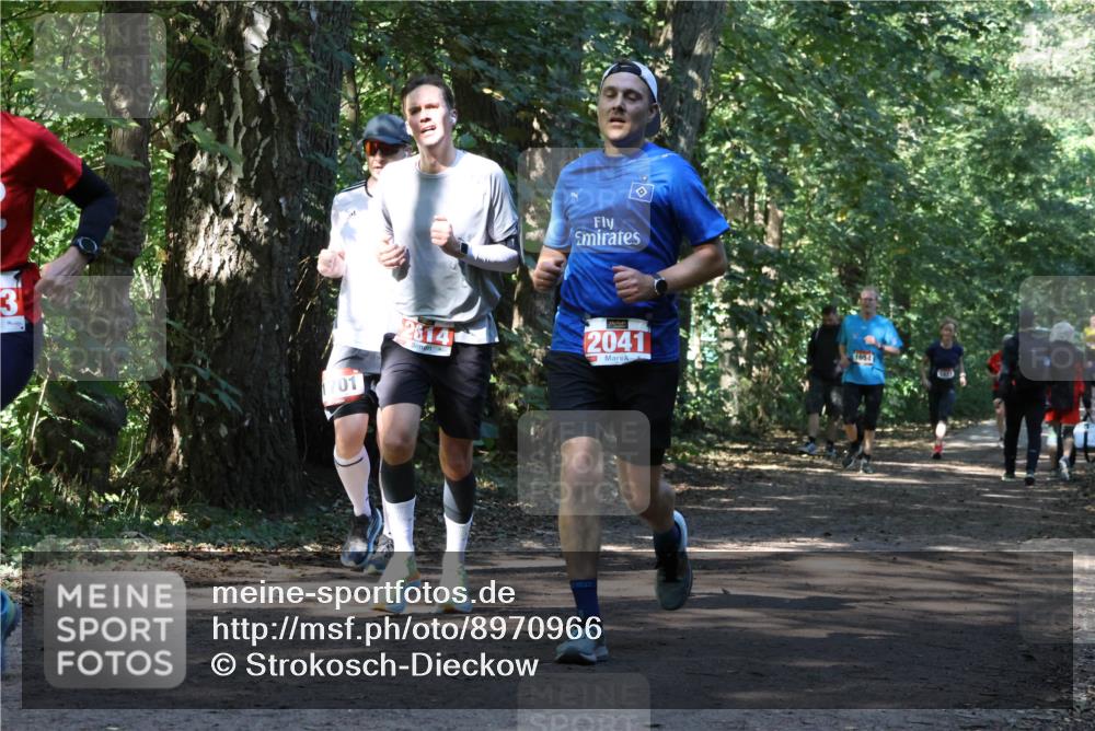 28.09.2025 - 33. Volkslauf durch das schöne Alstertal Strokosch-Dieckow http://msf.ph/oto/8970966 28.09.2025 12:04:06 Laufen 3, 2814, 2041, 1654 meine-sportfotos.de