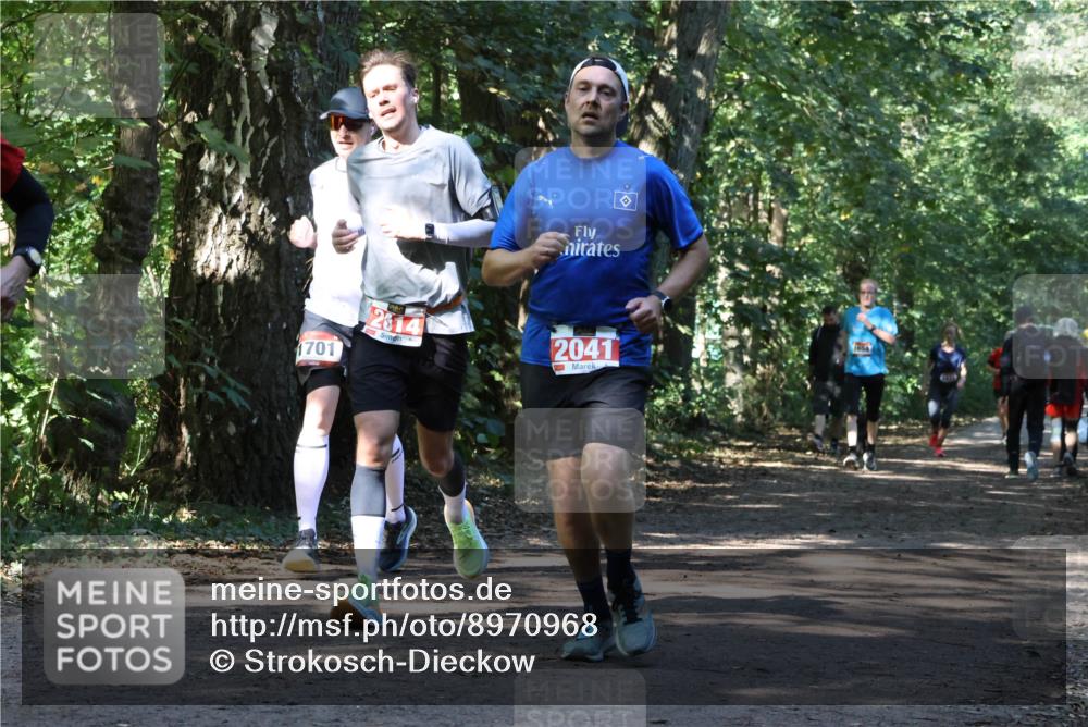 28.09.2025 - 33. Volkslauf durch das schöne Alstertal Strokosch-Dieckow http://msf.ph/oto/8970968 28.09.2025 12:04:06 Laufen 1701, 2041 meine-sportfotos.de