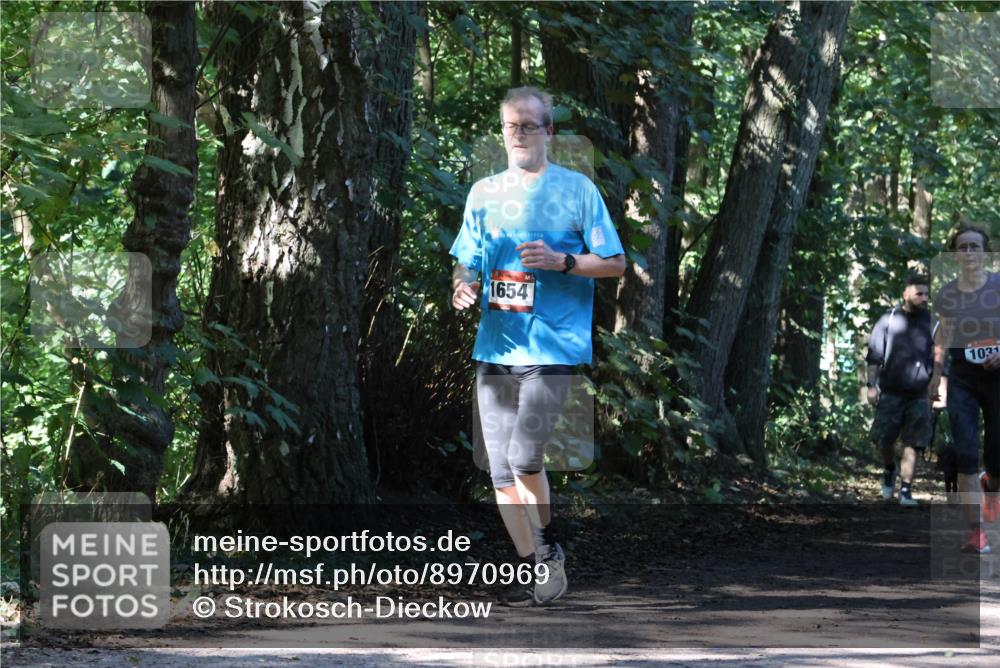 28.09.2025 - 33. Volkslauf durch das schöne Alstertal Strokosch-Dieckow http://msf.ph/oto/8970969 28.09.2025 12:04:14 Laufen 1654, 1031 meine-sportfotos.de