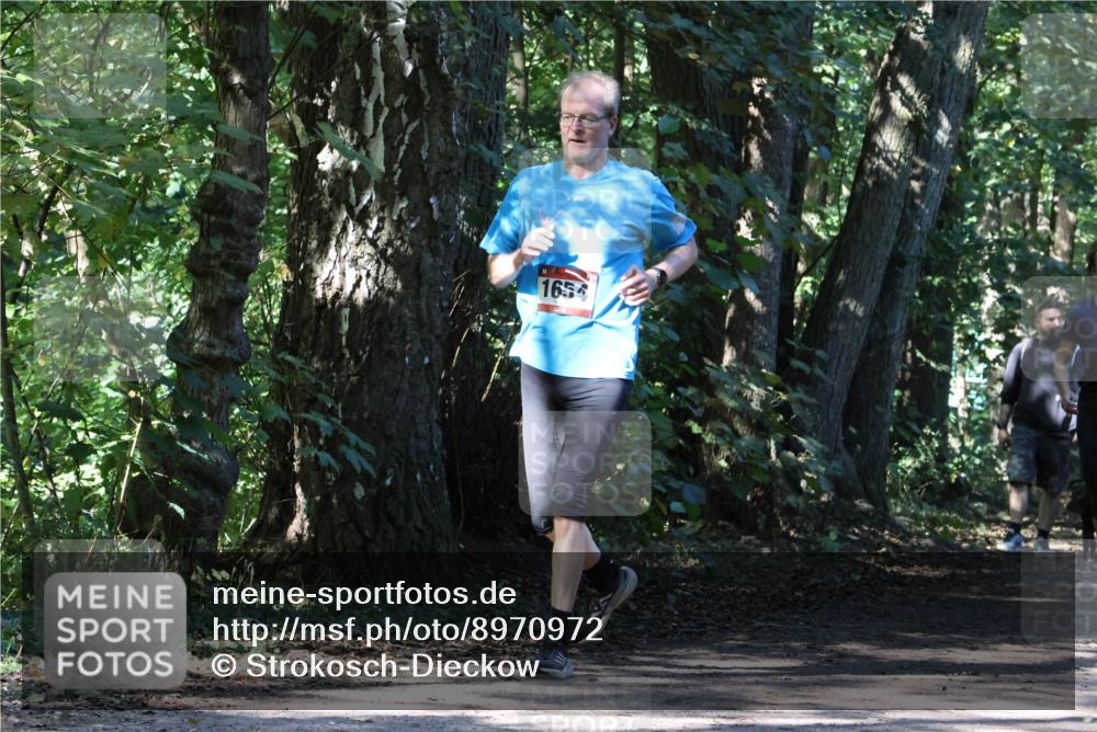 28.09.2025 - 33. Volkslauf durch das schöne Alstertal Strokosch-Dieckow http://msf.ph/oto/8970972 28.09.2025 12:04:14 Laufen 1654 meine-sportfotos.de