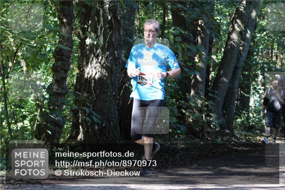 28.09.2025 - 33. Volkslauf durch das schöne Alstertal Strokosch-Dieckow http://msf.ph/oto/8970973 28.09.2025 12:04:14 Laufen 16 meine-sportfotos.de