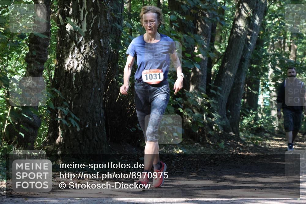 28.09.2025 - 33. Volkslauf durch das schöne Alstertal Strokosch-Dieckow http://msf.ph/oto/8970975 28.09.2025 12:04:17 Laufen 1031 meine-sportfotos.de