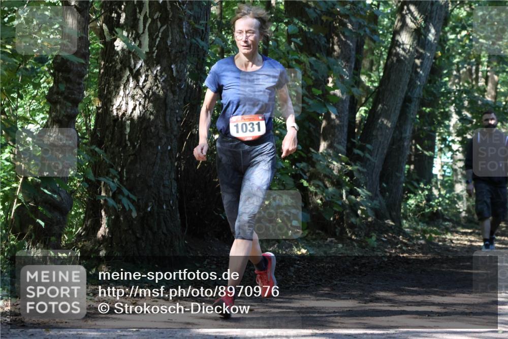 28.09.2025 - 33. Volkslauf durch das schöne Alstertal Strokosch-Dieckow http://msf.ph/oto/8970976 28.09.2025 12:04:17 Laufen 1031 meine-sportfotos.de
