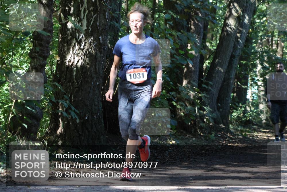 28.09.2025 - 33. Volkslauf durch das schöne Alstertal Strokosch-Dieckow http://msf.ph/oto/8970977 28.09.2025 12:04:17 Laufen 1031 meine-sportfotos.de