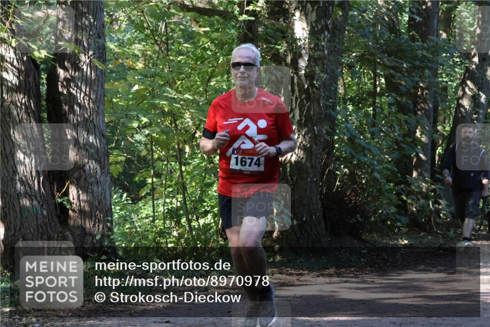 28.09.2025 - 33. Volkslauf durch das schöne Alstertal Strokosch-Dieckow http://msf.ph/oto/8970978 28.09.2025 12:04:24 Laufen 1674 meine-sportfotos.de
