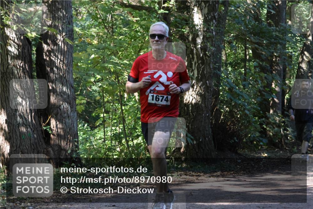 28.09.2025 - 33. Volkslauf durch das schöne Alstertal Strokosch-Dieckow http://msf.ph/oto/8970980 28.09.2025 12:04:24 Laufen 1674 meine-sportfotos.de