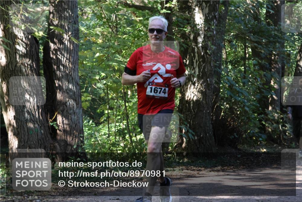28.09.2025 - 33. Volkslauf durch das schöne Alstertal Strokosch-Dieckow http://msf.ph/oto/8970981 28.09.2025 12:04:24 Laufen 1674 meine-sportfotos.de