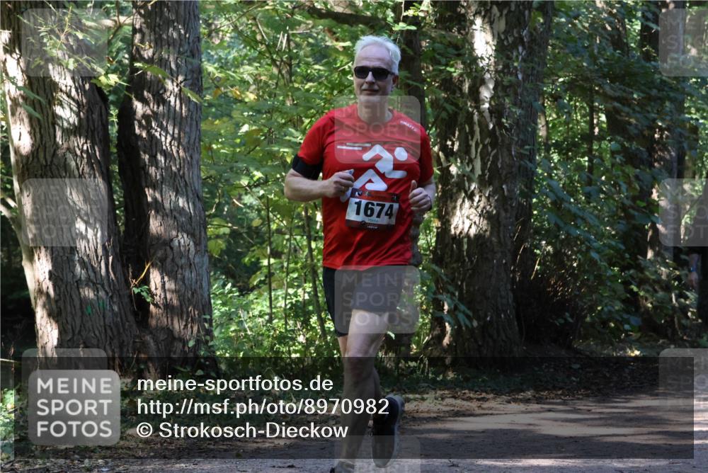 28.09.2025 - 33. Volkslauf durch das schöne Alstertal Strokosch-Dieckow http://msf.ph/oto/8970982 28.09.2025 12:04:24 Laufen 1674 meine-sportfotos.de
