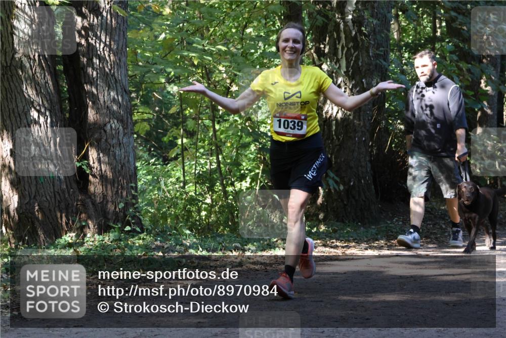 28.09.2025 - 33. Volkslauf durch das schöne Alstertal Strokosch-Dieckow http://msf.ph/oto/8970984 28.09.2025 12:04:28 Laufen 1039 meine-sportfotos.de